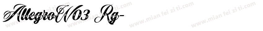 AllegroW03 Rg字体转换